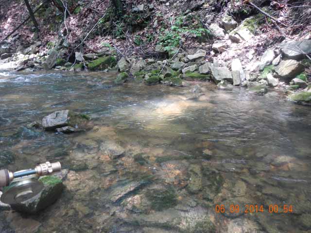 fowlers hollow.Laural run 06-09-14 059.jpg -                                